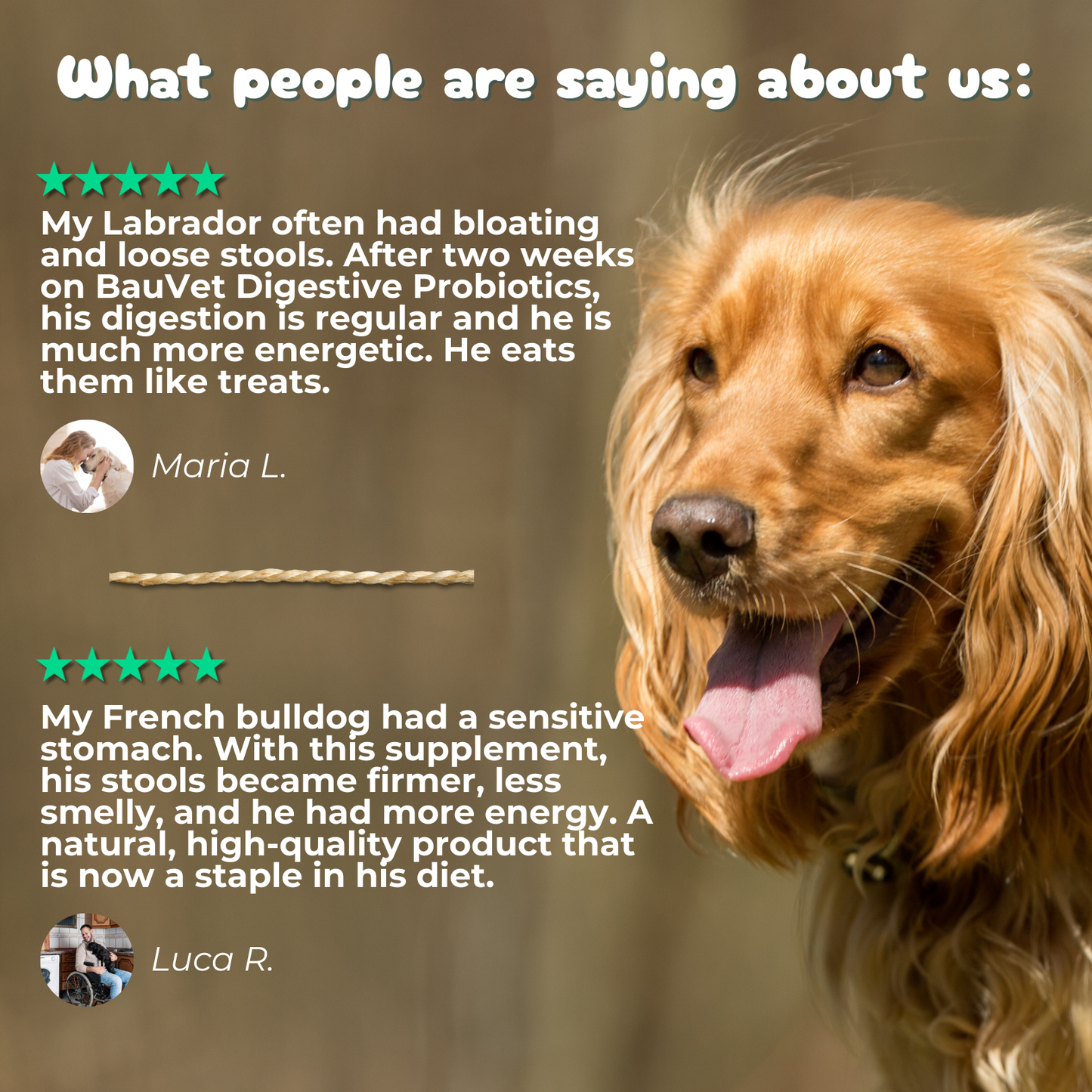 Digestive Probiotics - Supplement for Intestinal Care