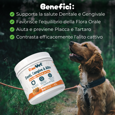 Denti, Gengive & Alito - Integratore Igiene Orale da 90 Bocconcini
