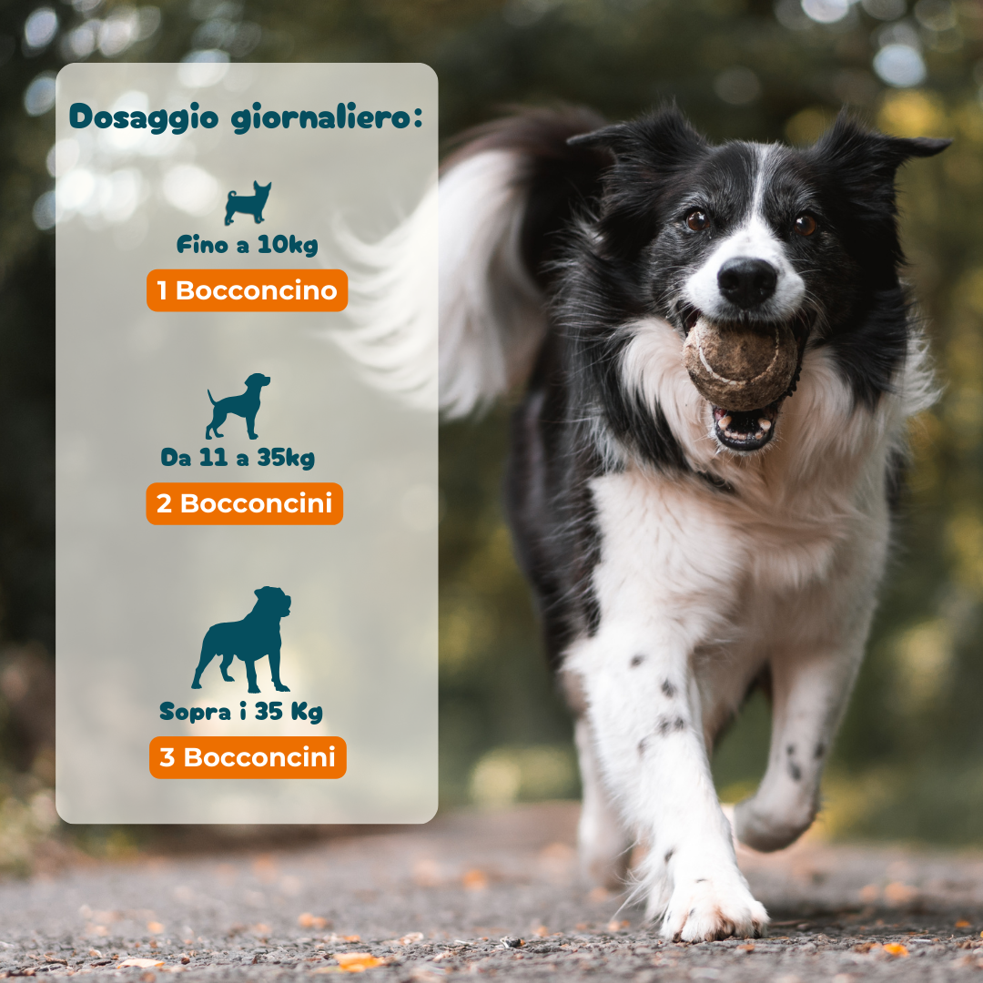 Ossa & Articolazioni - Integratore per la Mobilità