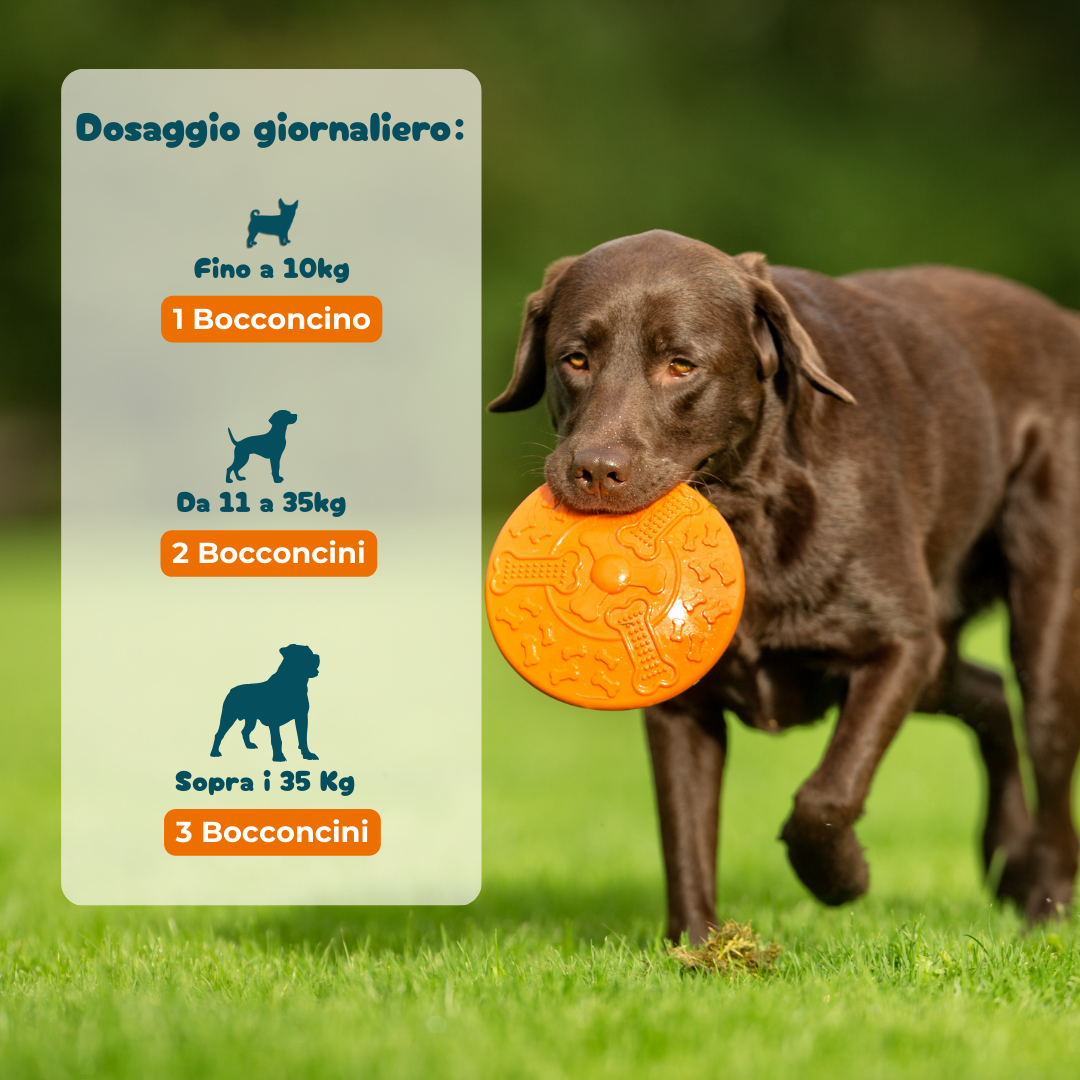 Pelo & Cute - Integratore per la cura del Pelo