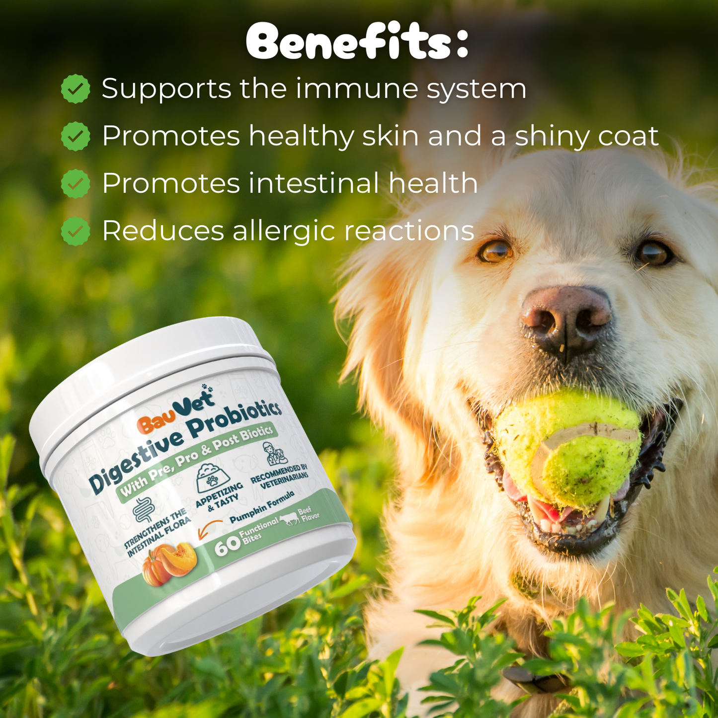 Digestive Probiotics - Supplement for Intestinal Care