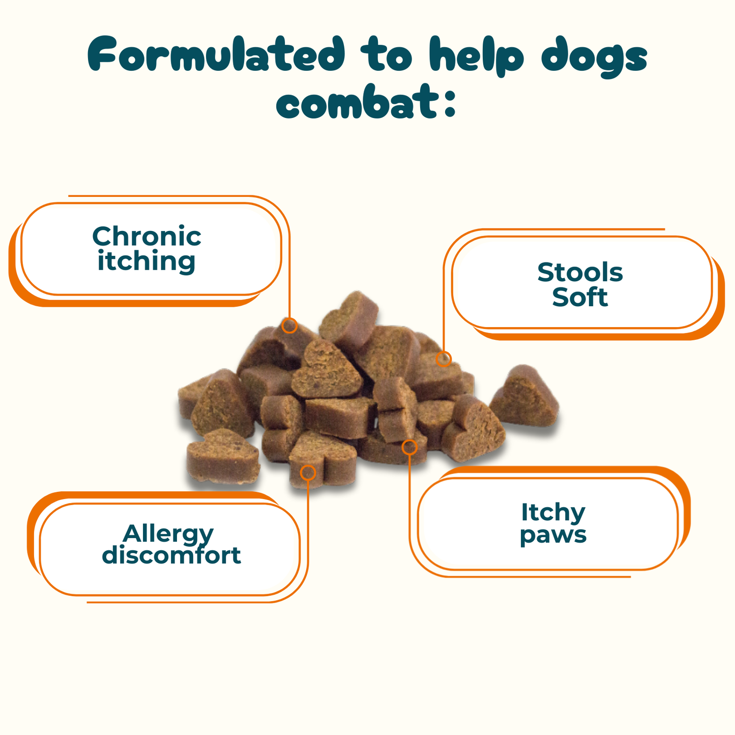 Digestive Probiotics - Supplement for Intestinal Care