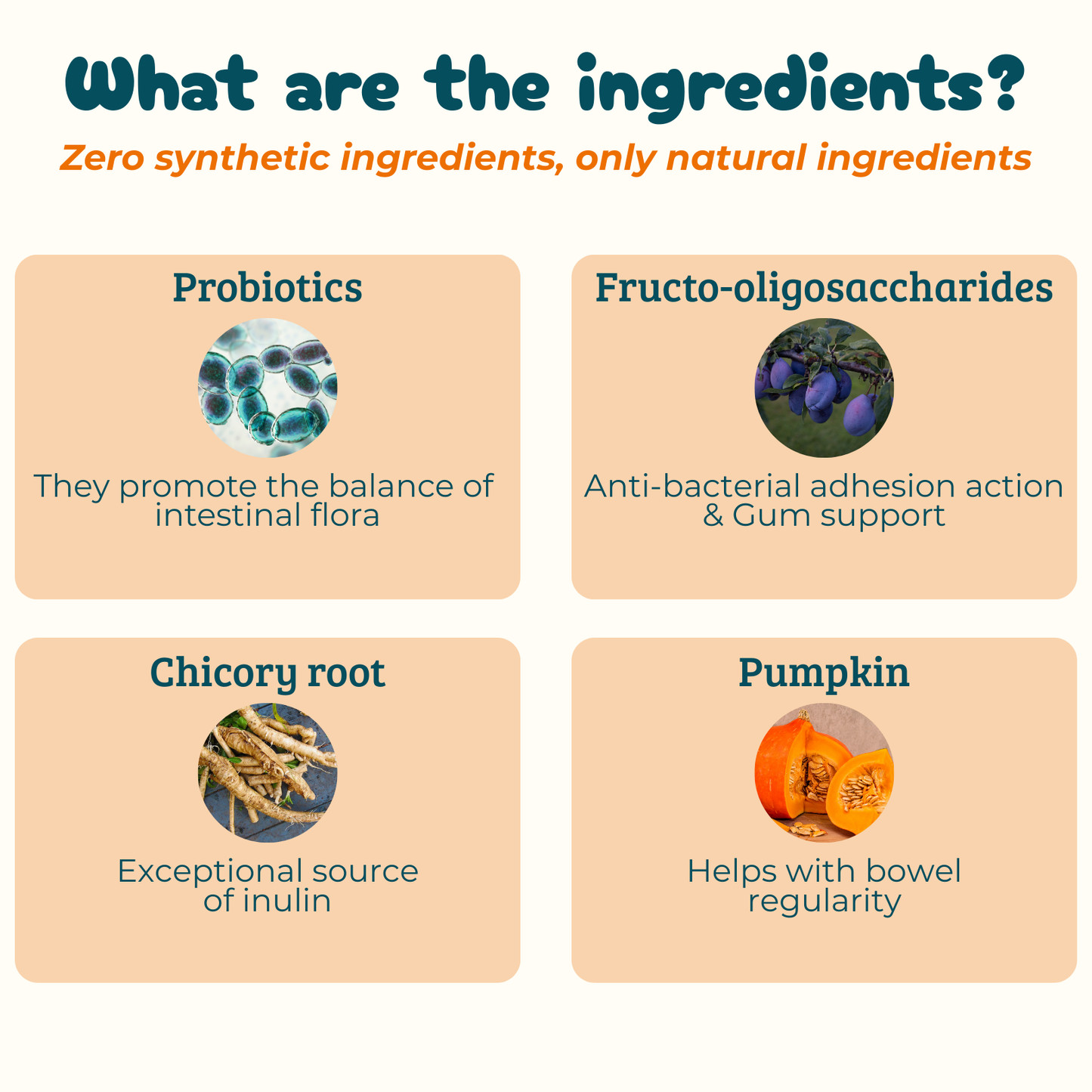 Digestive Probiotics - Supplement for Intestinal Care