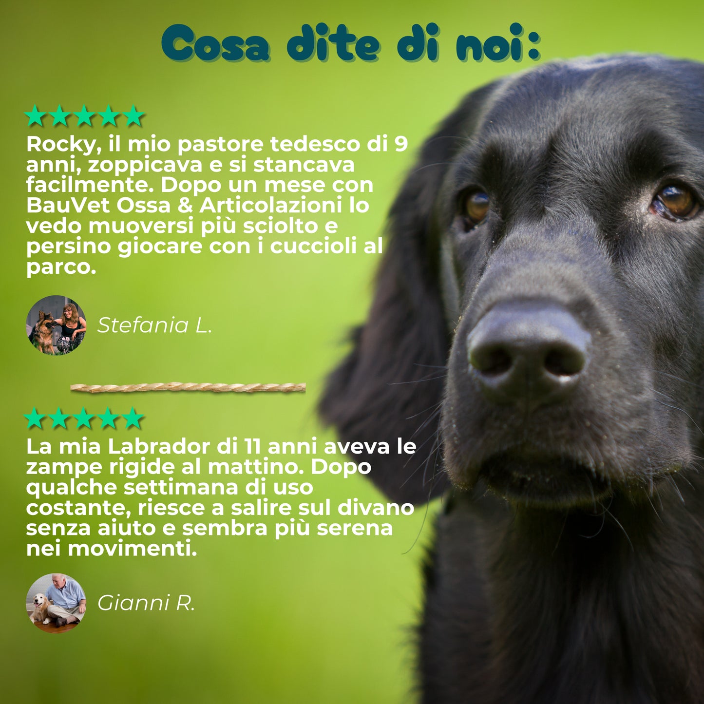 Ossa & Articolazioni - Integratore Mobilità da 90 Bocconcini