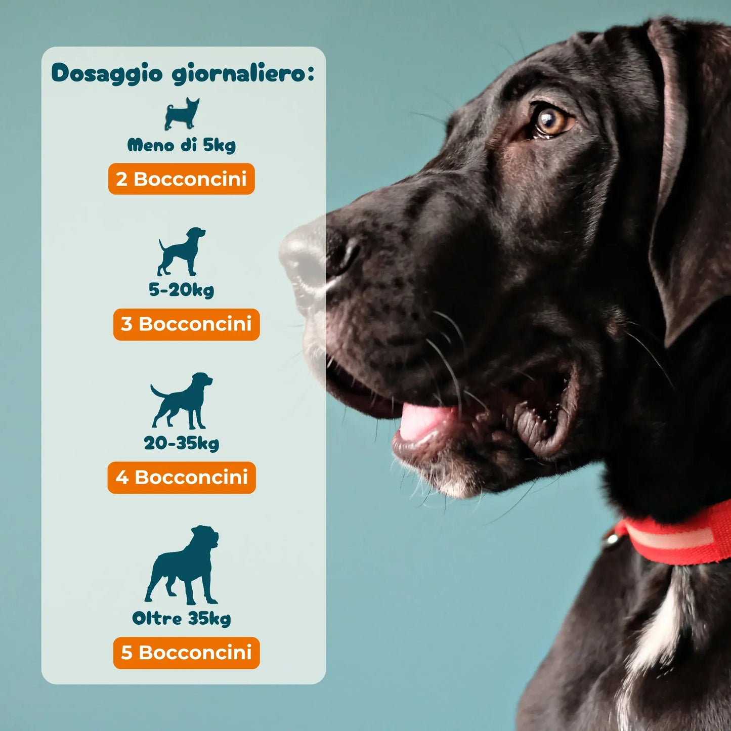 Calma & Serenità - Integratore per Ansia e Stress da 90 Bocconcini