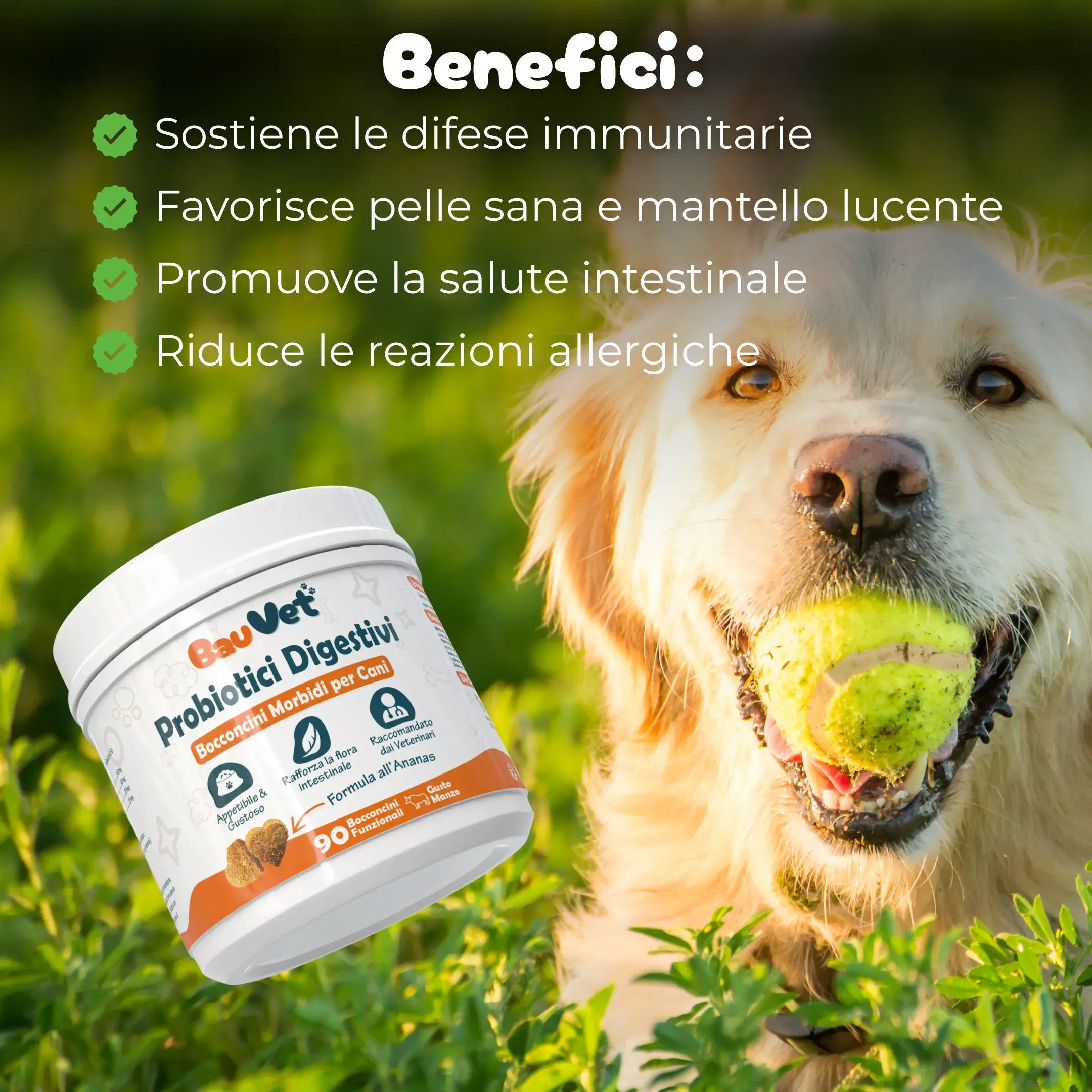 Probiotici Digestivi - Integratore Intestinale da 90 Bocconcini