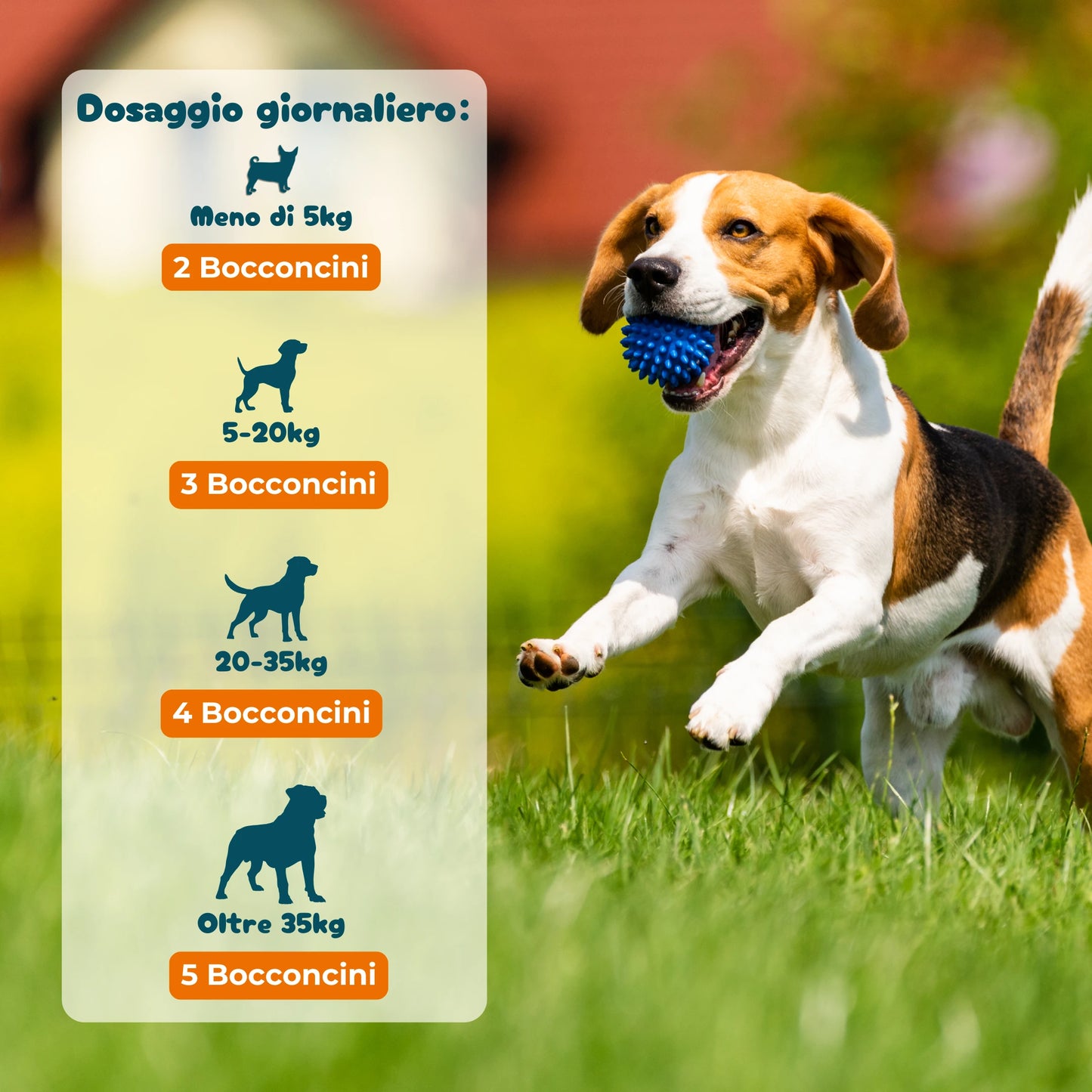 Denti, Gengive & Alito - Integratore Igiene Orale da 90 Bocconcini