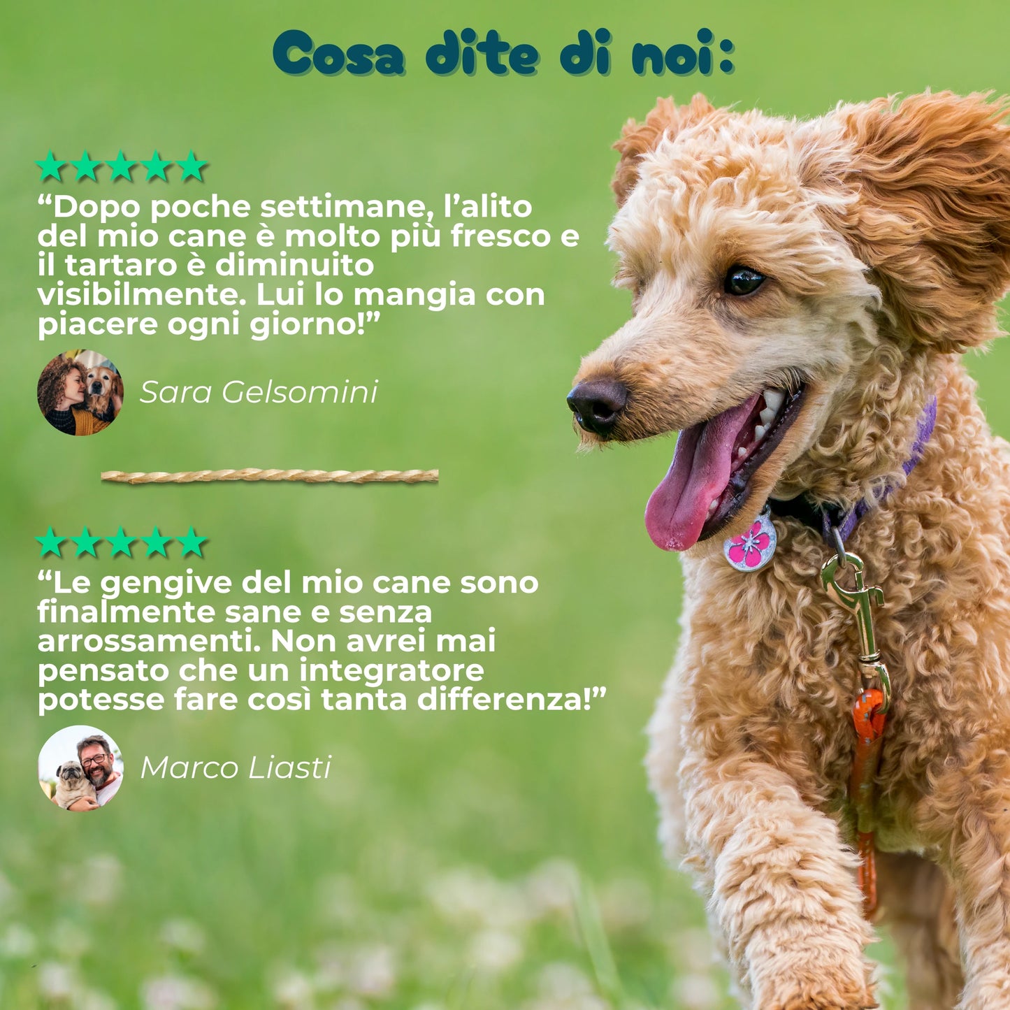 Denti, Gengive & Alito - Integratore Igiene Orale da 90 Bocconcini