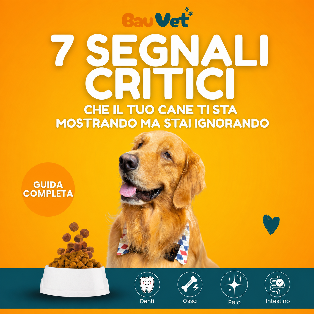 E-Book I 7 Segnali Critici