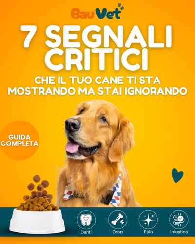 I 7 Segnali Critici - EBOOK